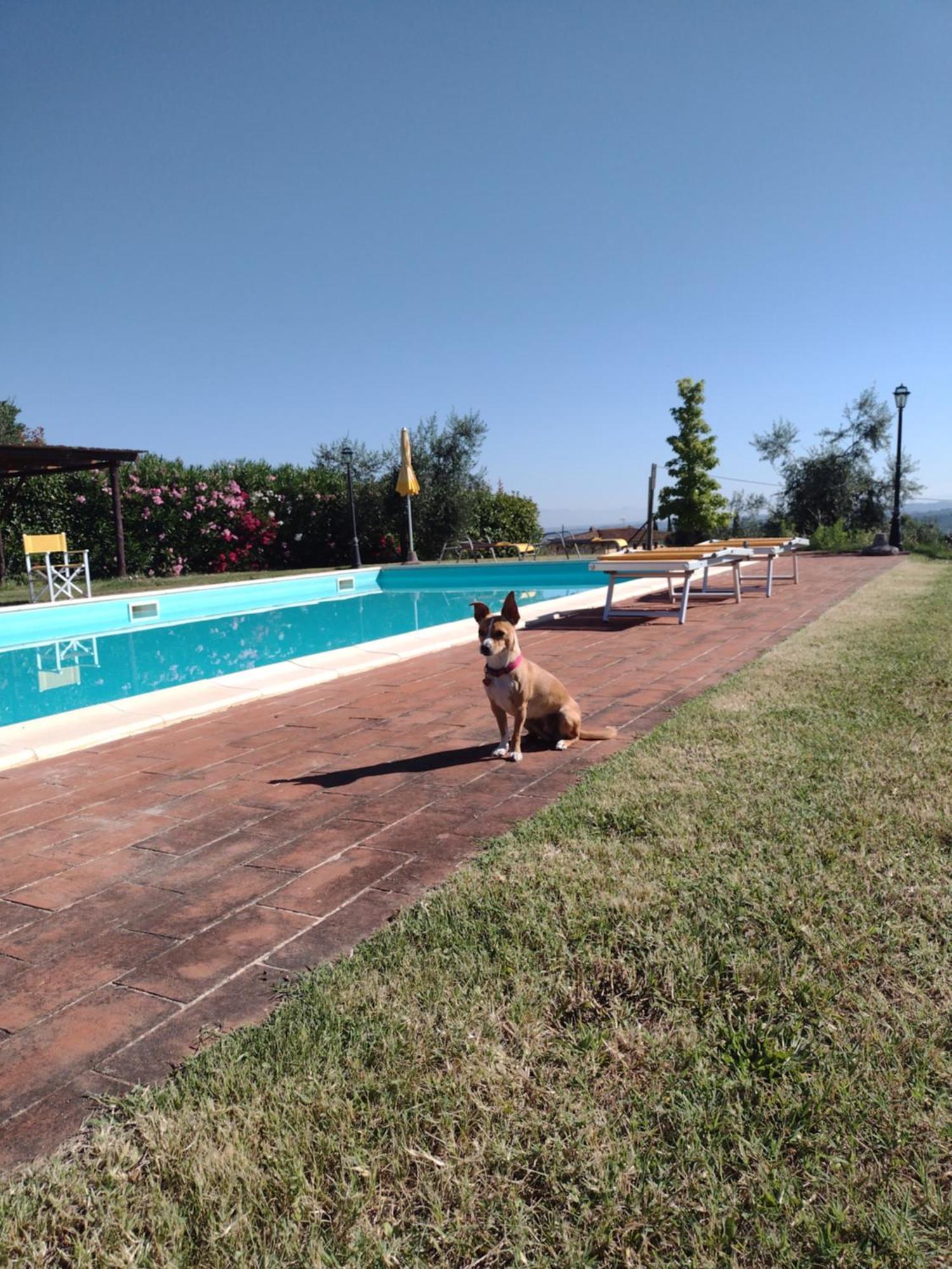 Le Pergoline B&B Casciana Terme Bagian luar foto