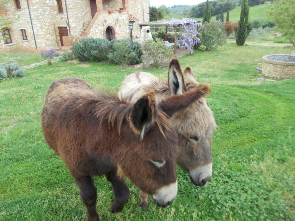Le Pergoline B&B Casciana Terme Bagian luar foto