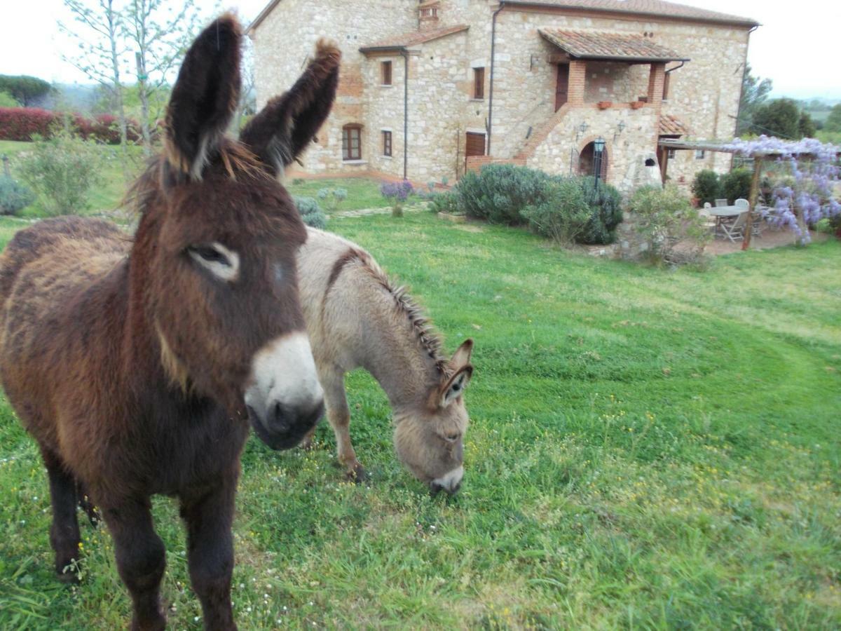 Le Pergoline B&B Casciana Terme Bagian luar foto